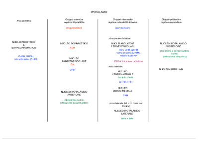 Anatomia nervosa